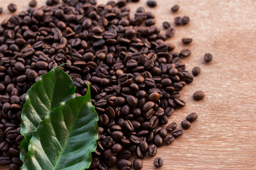 Close up coffee beans and fresh green leaf