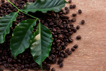 Close up coffee beans and fresh green leaf