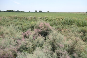 Outside in Uzbekistan