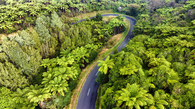 Native bush road
iStock creative image






1 file


ID: 2041571881

ONMP1758from iphone-Edit-Edit.jpg

Title *
Just heading out of Raetihi, heading through native bush to to Pipiriki
Please submit t