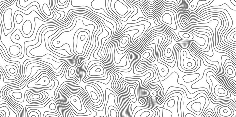 Topographic contour map. Vector cartography illustration. Topographic Map in Contour Line Light Topographic White seamless marble texture. multicolor wave curve lines banner background.