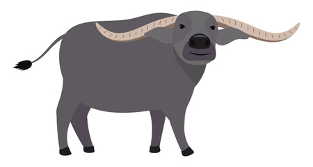 Side view of smiling water buffalo on transparent background. PNG file