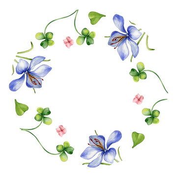 Circle frame with crocus and clover watercolor illustration isolated on white background. Painted spring flowers frame. Hand drawn Celtic symbol. Design element for St. Patrick day, Easter, package