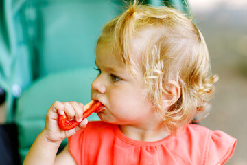 Little toddler girl eating red pepper and vegetables for healthy lunch snack sitting in baby...
