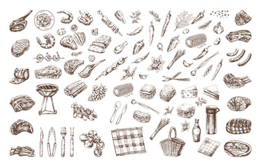 Set of hand-drawn sketches of barbecue and picnic elements, meat. For the design of the menu of restaurants, grilled food. Doodle vintage illustration. Engraved image.