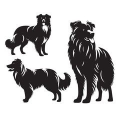 Graceful Herding: Vector Silhouette of Australian Shepherd - Capturing the Elegance and Vigilance of this Beloved Working Dog Breed. Vector Australian Shepherd silhouette.