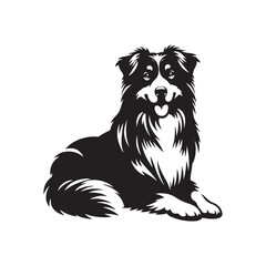 Graceful Herding: Vector Silhouette of Australian Shepherd - Capturing the Elegance and Vigilance of this Beloved Working Dog Breed. Vector Australian Shepherd silhouette.