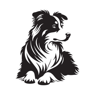 recommend clip art: Graceful Herding: Vector Silhouette of Australian Shepherd - Capturing the Elegance and Vigilance of this Beloved Working Dog Breed. Vector Australian Shepherd silhouette.