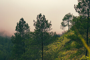 morning in the mountains