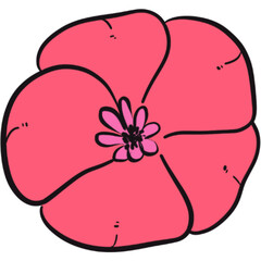 The illustration of a pink flower