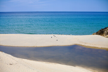Serene Sandbank at Wonpo Village Beach