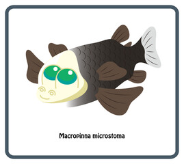 ユニークな深海魚 デメニギスのイラスト 