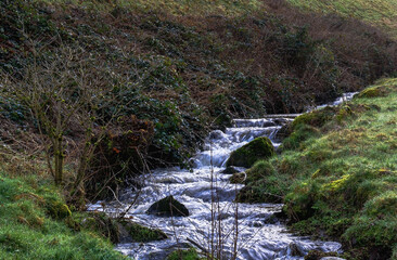 Stream in the mountains of black forest