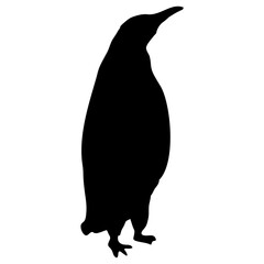 black penguin silhouette walking and skating