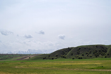 Obraz premium green meadow in spring against the background of mountains with a cloudy sky