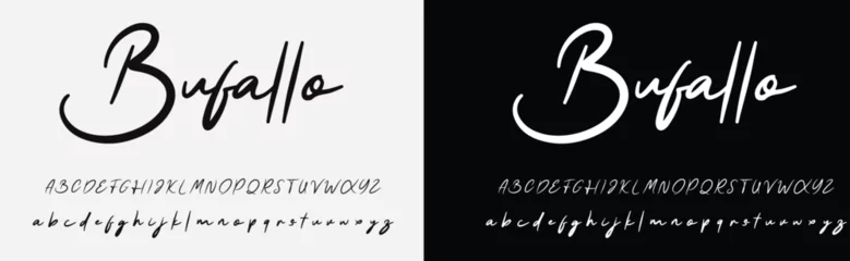 Fotobehang Hand drawn vector alphabet. Modern monoline signature script font. Chloe Signature Font © sayka