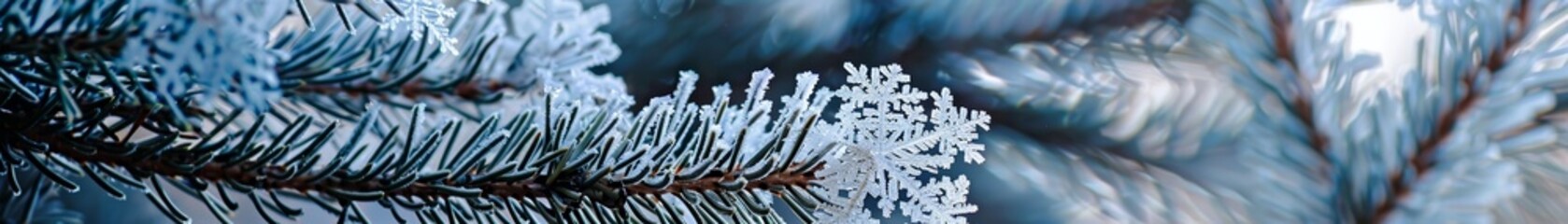 Naklejka na ściany i meble Snowflakes on a pine branch close up crystal details against the sky