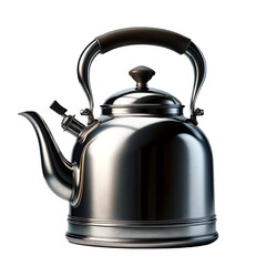 Isolated gas kettle. Metal kettle on white background.
