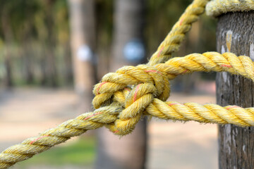 Knot on a rope of ship.