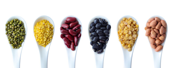 Collection of mix bean (green mung, yellow split bean, red kidney, black bean, yellow split peas,...