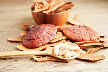 Lingzhi or Reishi mushroom with capsules, organic natural healthy food.