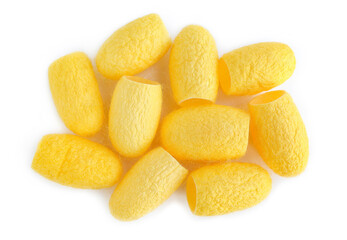 yellow silkworm cocoons on white background. Natural silkworm cocoons,top view