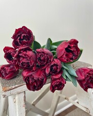 Double burgundy tulips atop a white antique ladder