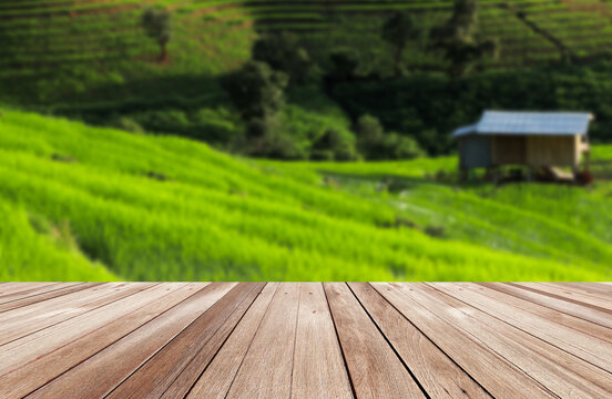Backdrop Rice Tabletop Rice Field Backdrop Images – Browse 390 Stock Photos, Vectors ...