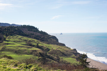 Ferndale beach overlook of Pacific Ocean