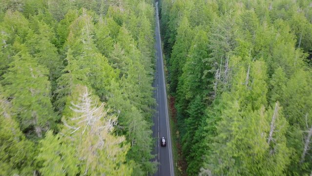 Aerial car driving through beautiful highway in scenic woodlands. Travelers exploring Washington National Parks. Modern SUV vehicle driving along evergreen forest road. USA tourism industry concept