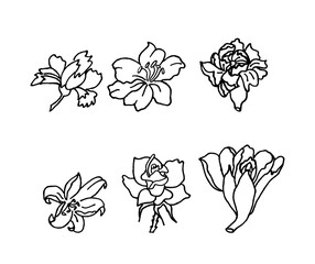 Flower hand drawn vector illustration art. Set collection of flower with white outline style drawing.