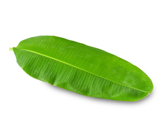 Obraz premium banana leaf isolated on white background