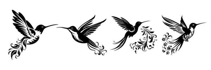 set of black and white birds