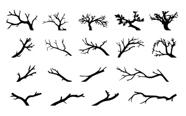 Hand drawn vector illustration  sketch of trees