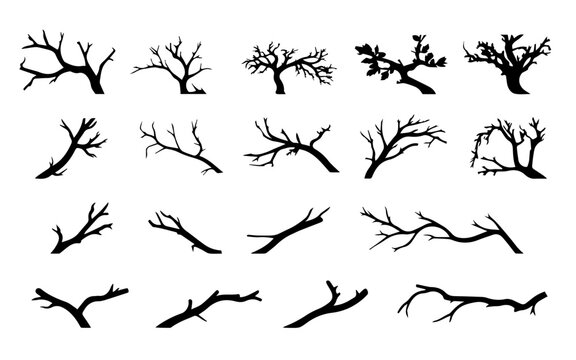 Hand drawn vector illustration  sketch of trees