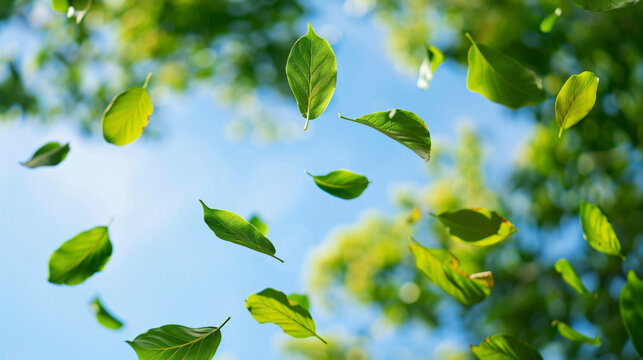 Green leaves flying in the air.