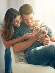 Couple, kitten and happy in home on sofa with hug for love, bonding or care for pet in living room....