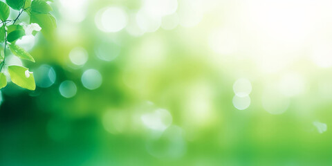 Fototapeta premium green leaves blurred light background, green Spring bokeh nature abstract background , green leaves with sunlight , banner