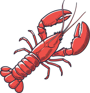 Lobster illustration artificial intelligence generation.
