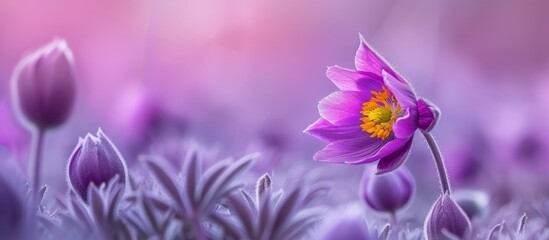 Aesthetic background of enchanting purple flowers in high definition for stunning wallpapers