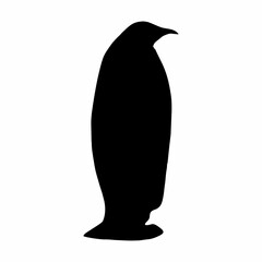 Fototapeta premium black penguin silhouette walking and skating