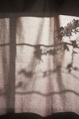 Background with shadows shining through a window with sunlight streaming in.