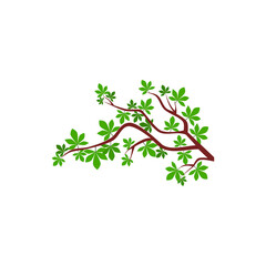 Tree branch icon isolated on transparent background
