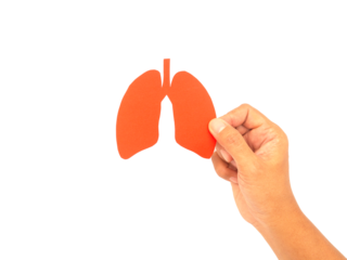 Hand holding a lung-shaped symbol on a transparent background.