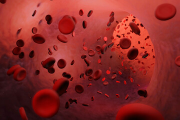 Blutzellen auf dem Weg vom Herzen zu allen wichtigen Organen und Zellen