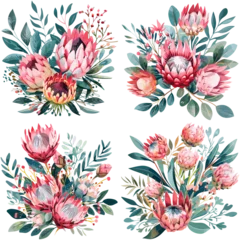 Gardinen Set of watercolor Protea Flower isolated on white background © FinType