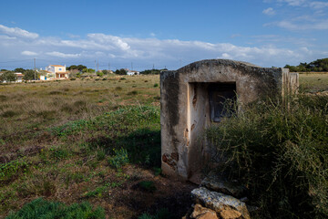 vine strains, Portossaler, Formentera, Pitiusas Islands, Balearic Community, Spain