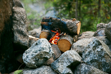 Campfire burns within a ring of stones, the wood crackling as it turns to embers amidst forest...