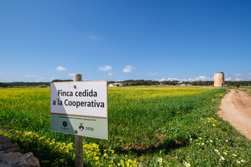 cultivation field managed by the cooperative of Formentera, La Mola, Formentera, Pitiusas Islands, Balearic Community, Spain