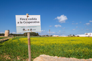 cultivation field managed by the cooperative of Formentera, La Mola, Formentera, Pitiusas Islands, Balearic Community, Spain